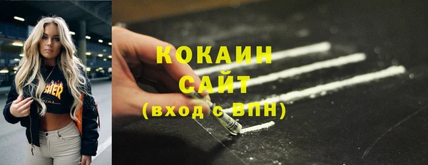 спиды Новодвинск