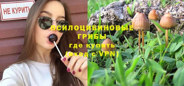 твердый Чита