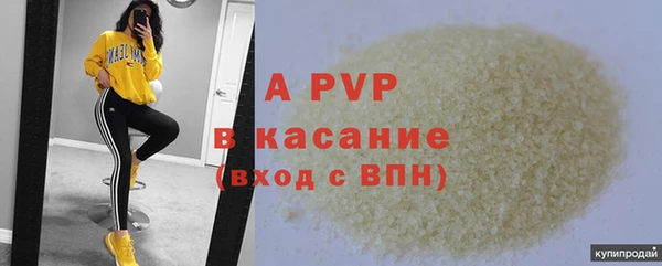 спиды Новодвинск