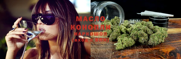 спиды Новодвинск