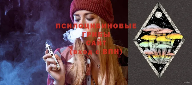 Псилоцибиновые грибы Cubensis  Люберцы 