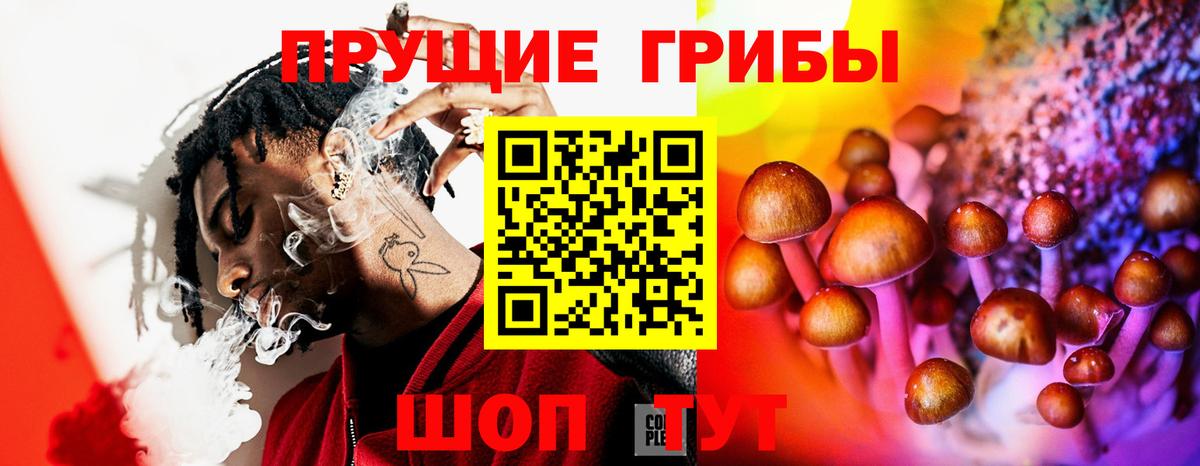 Псилоцибиновые грибы прущие грибы Люберцы