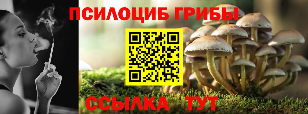 Люберцы  Галлюциногенные грибы GOLDEN TEACHER  Вход с VPN 